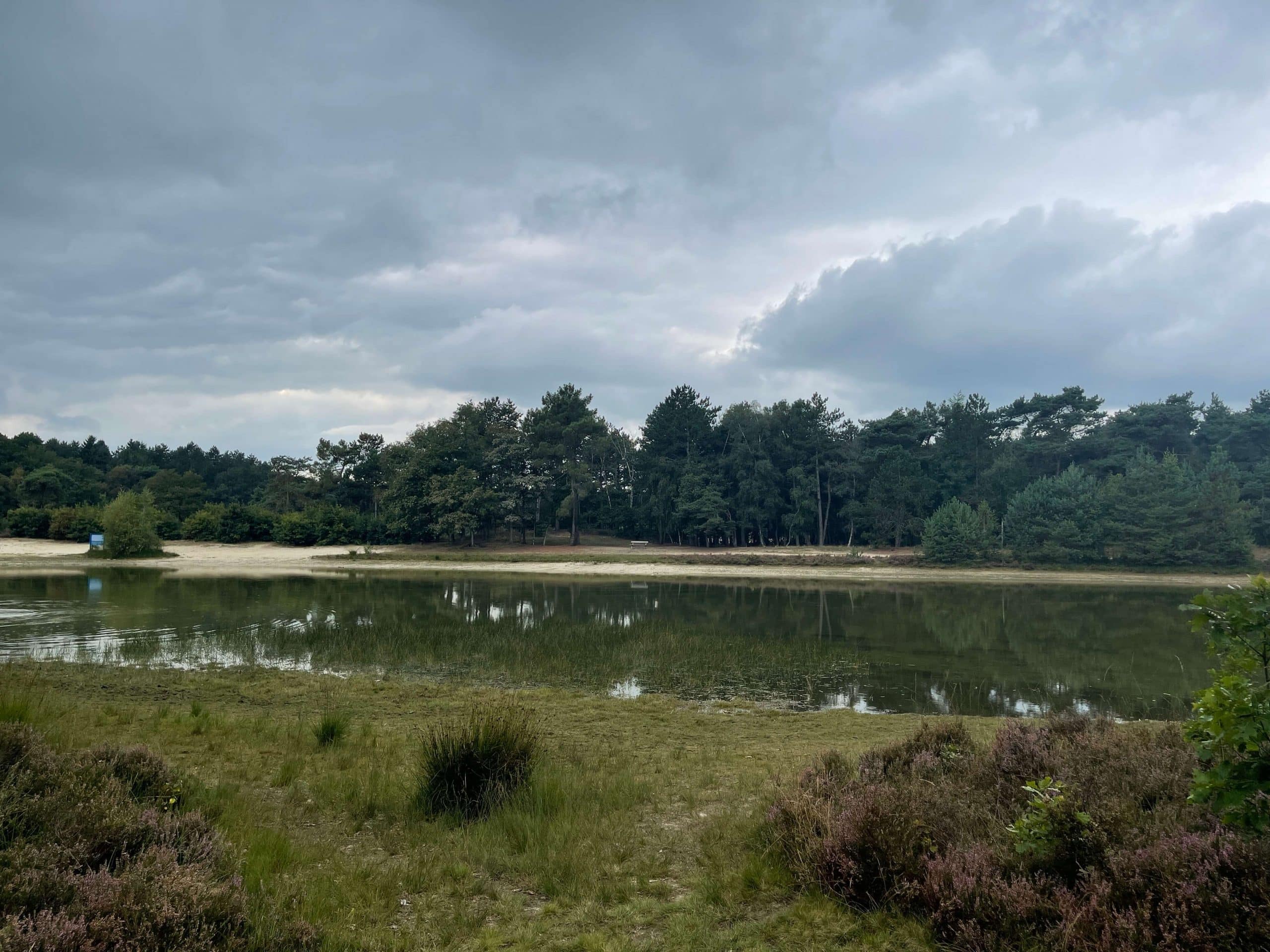 Ter Horsterzand