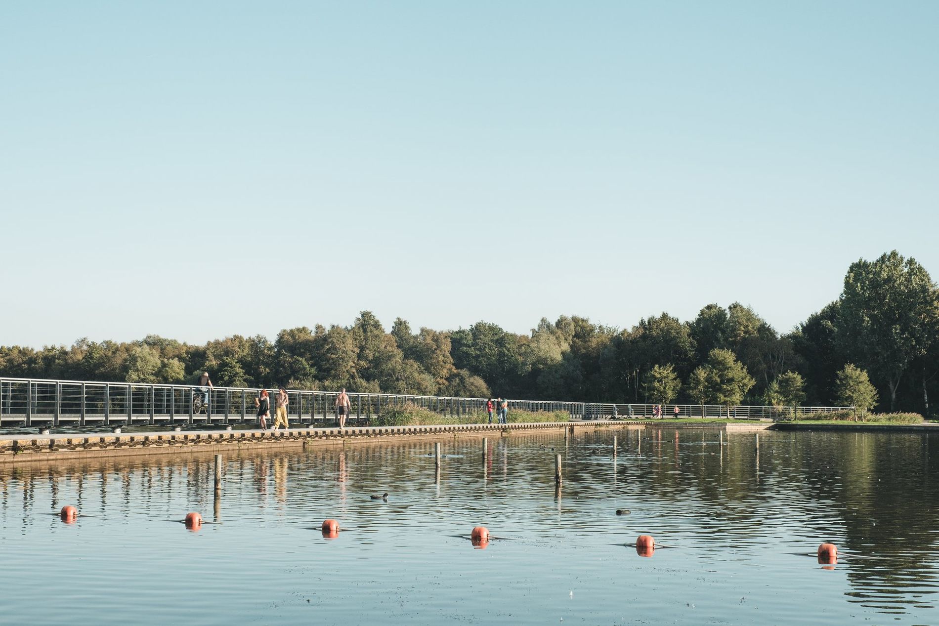 Hoornseplas, Groningen
