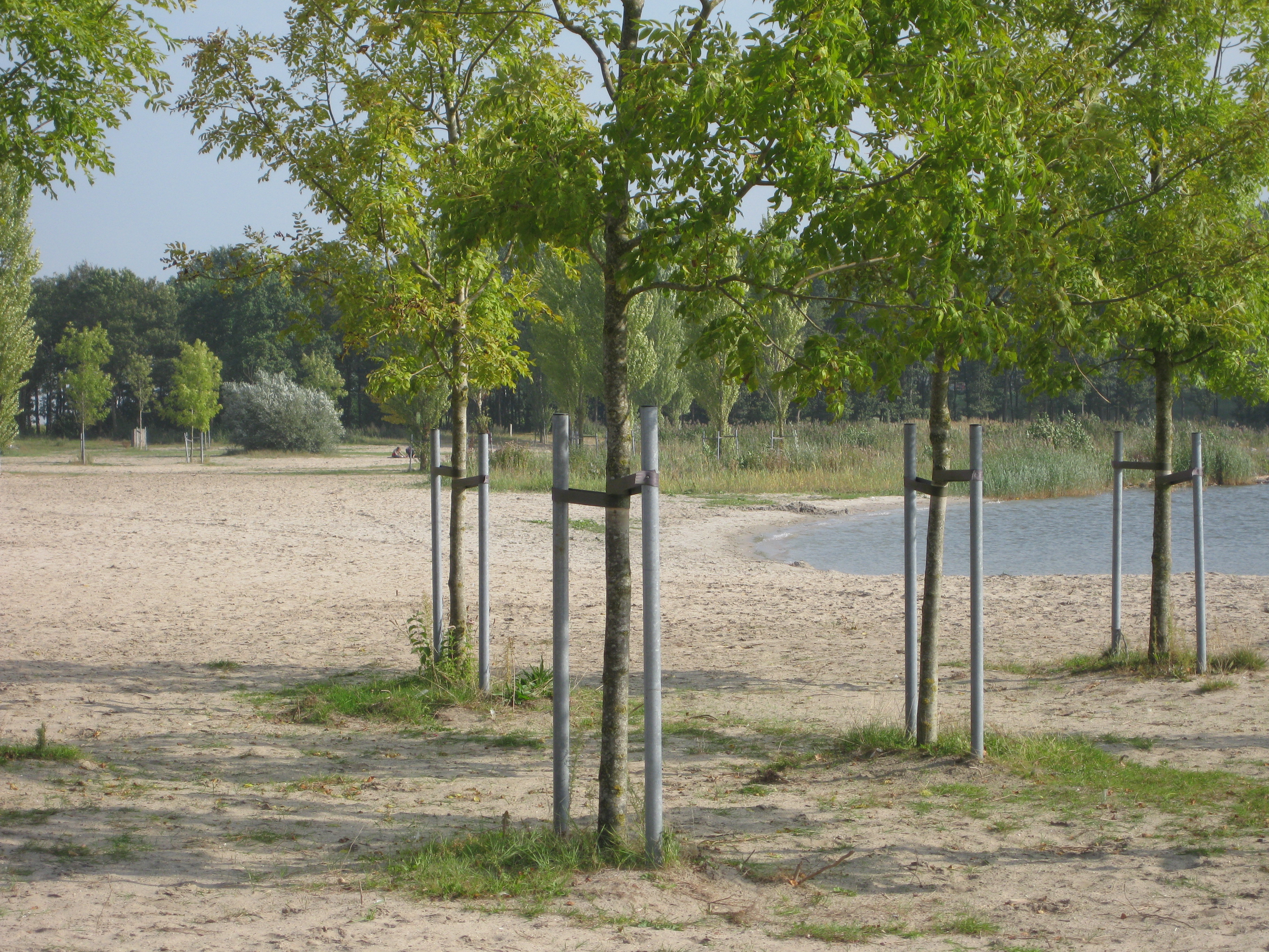 Spijkstrand