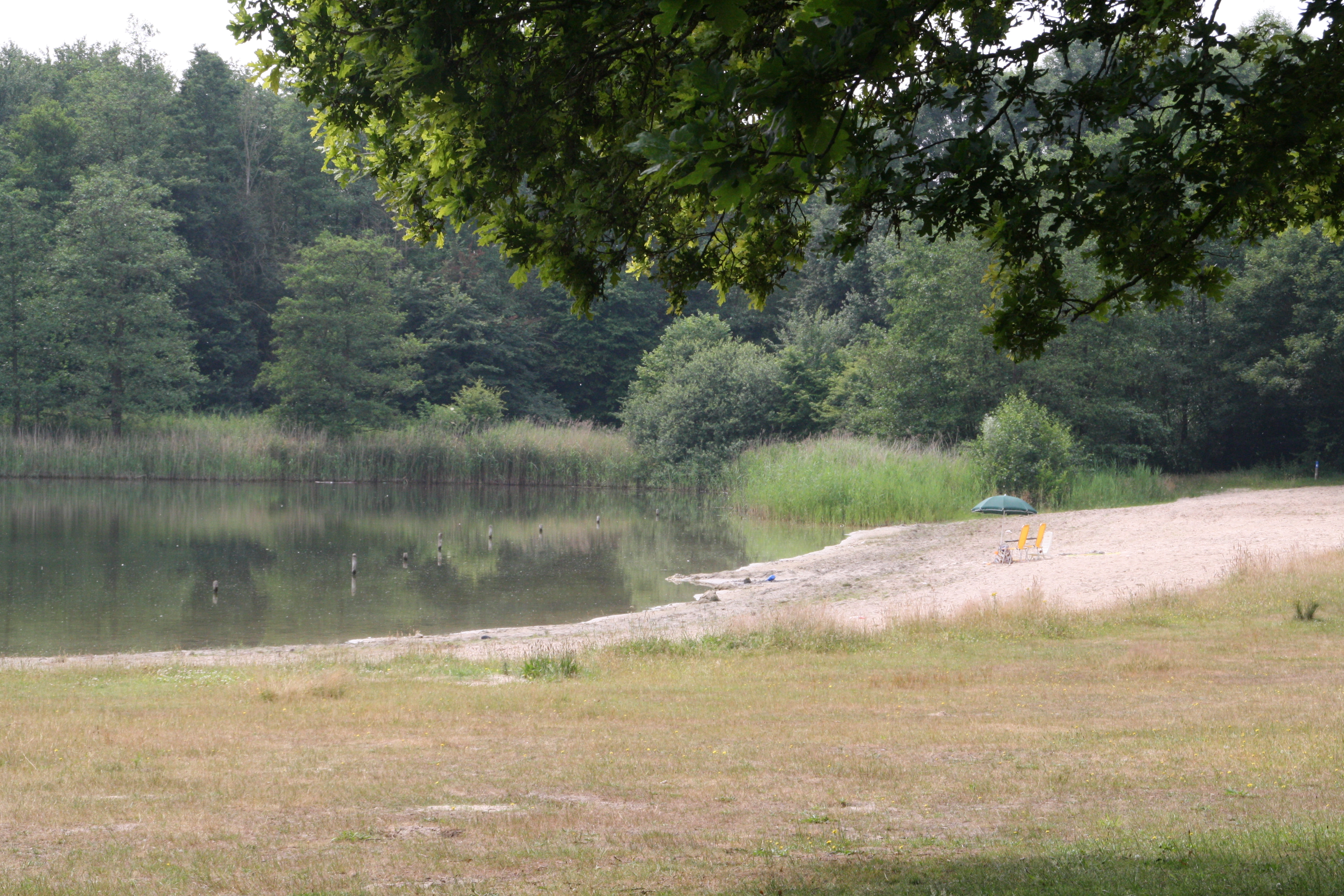 Spijkvijver, Biddinghuizen