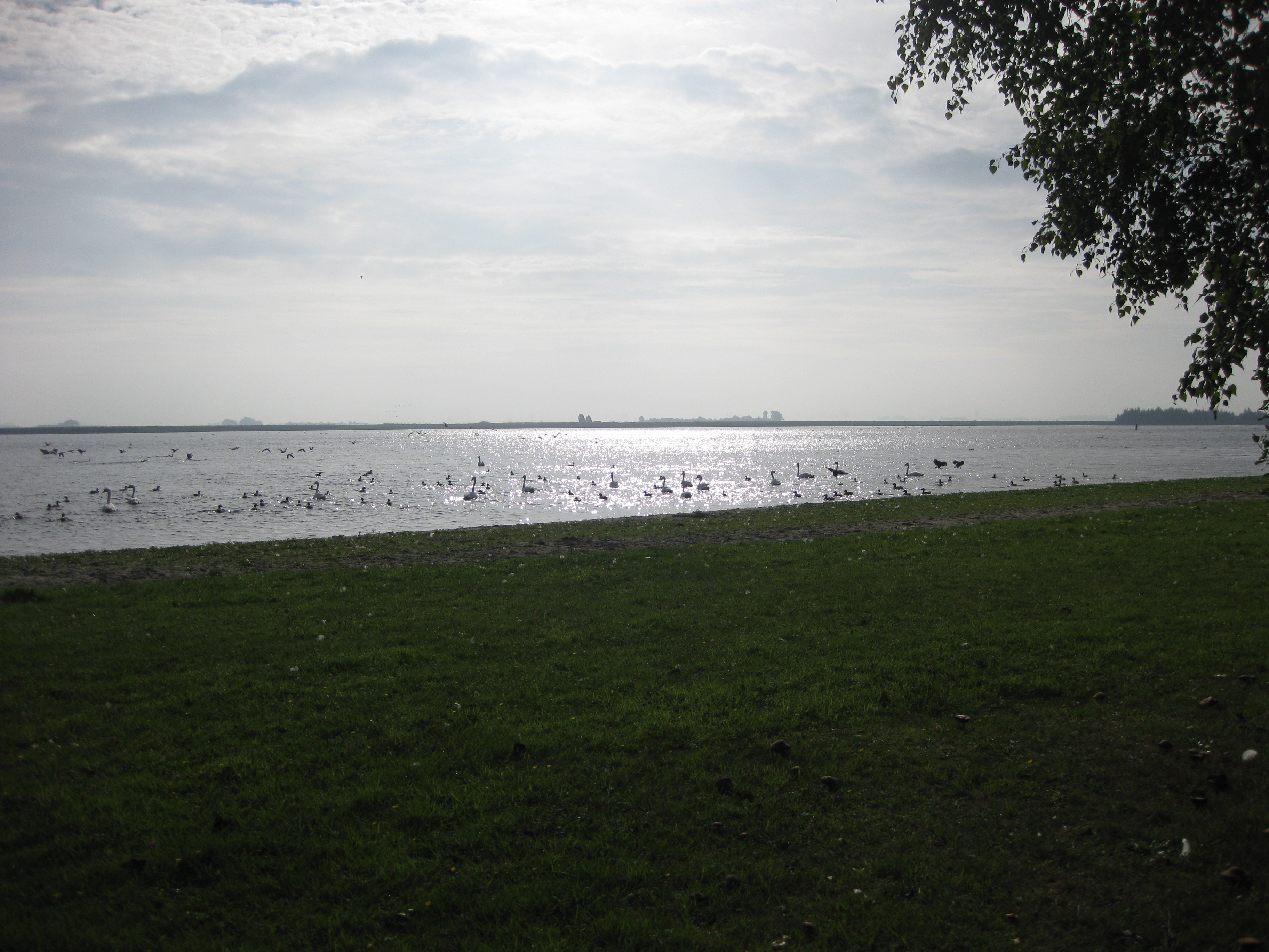 Abbertstrand