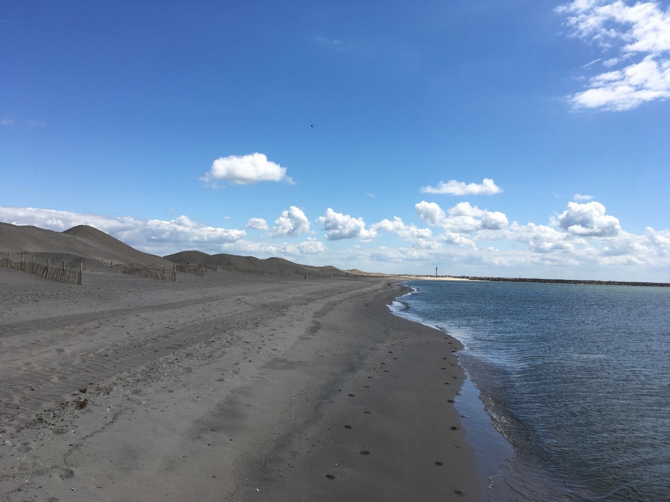 Havenstrand Markerwadden
