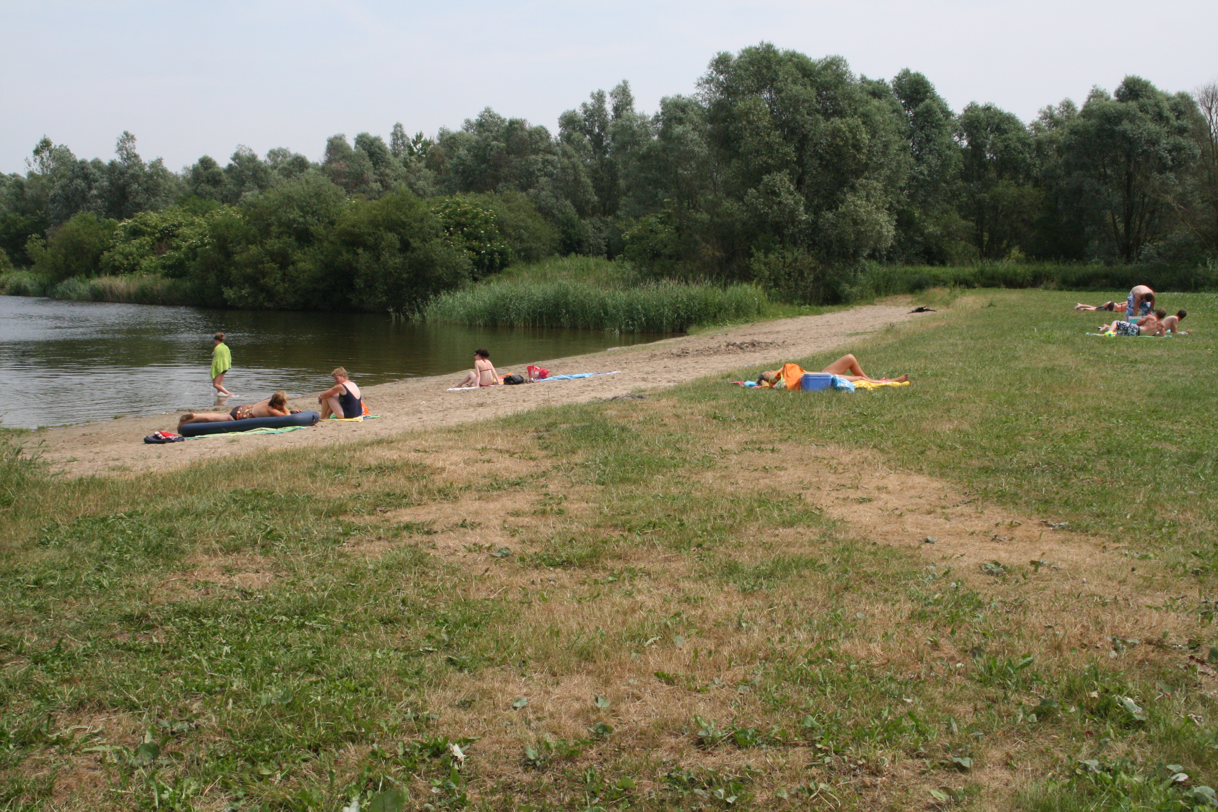 Strand Reigerplas