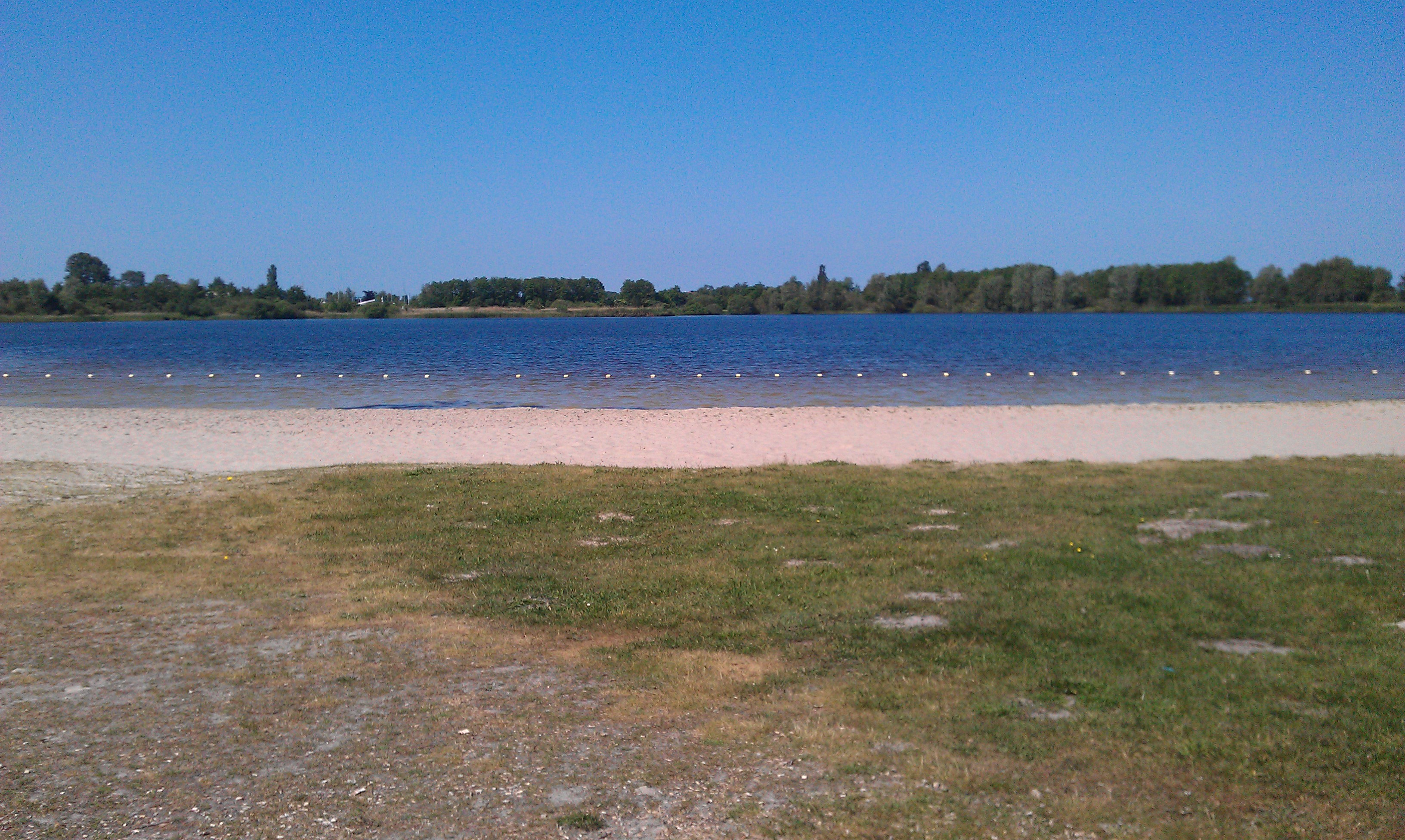 De Woudfennen