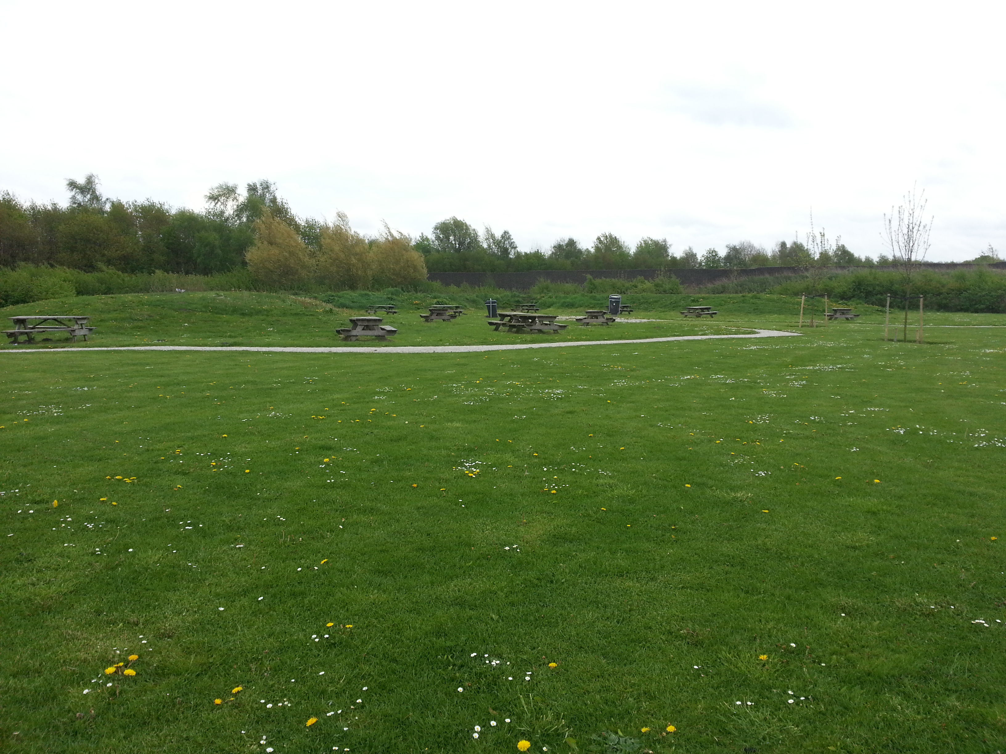 De Vlinderslag