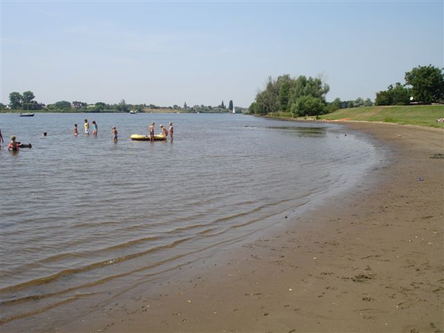 Rietschoof
