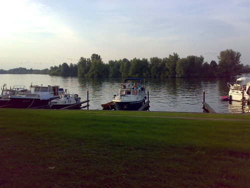 De Gouden Ham De Maaslanden