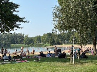 De Rijkerswoerdse Plassen