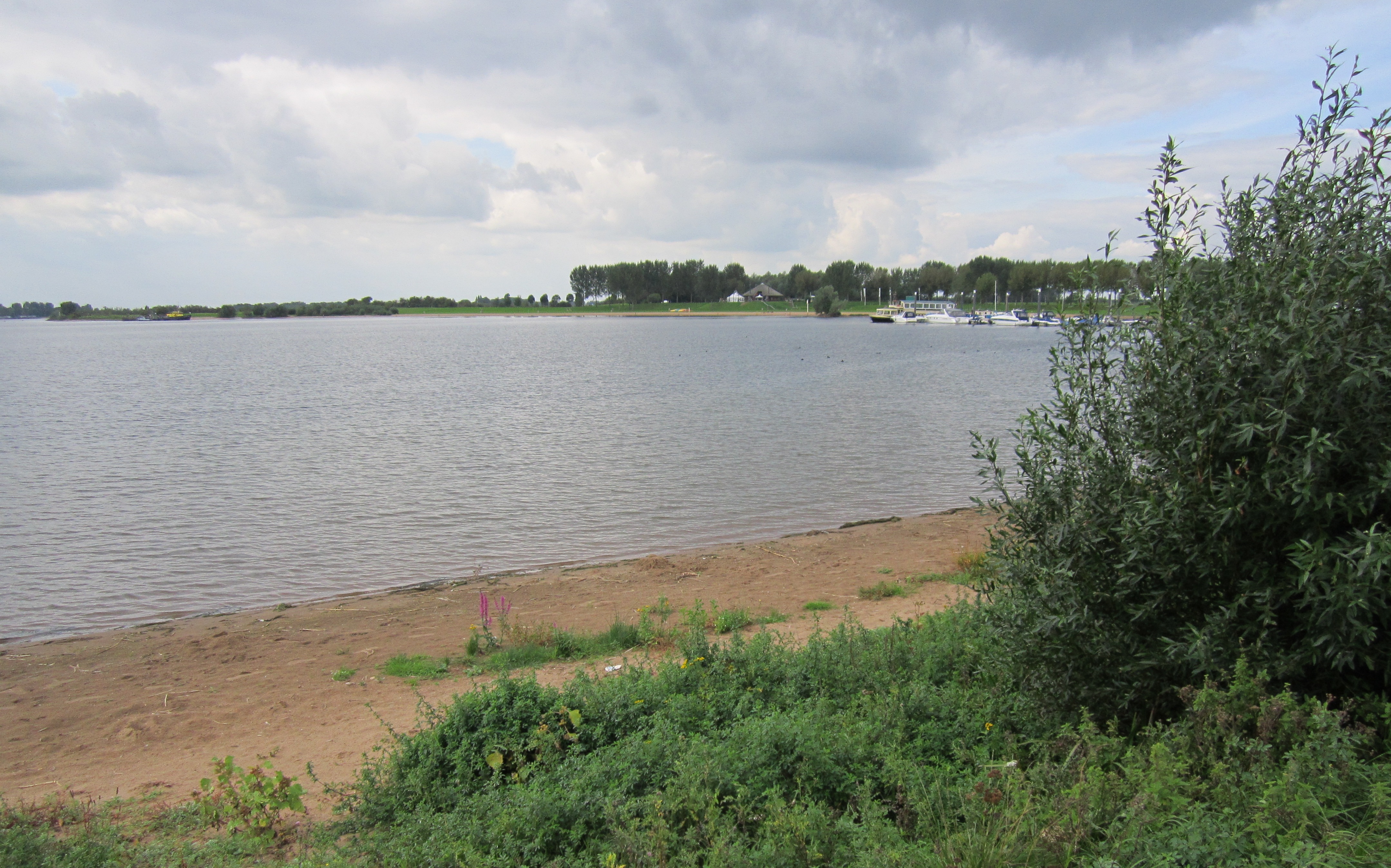Strand Eiland Van Maurik