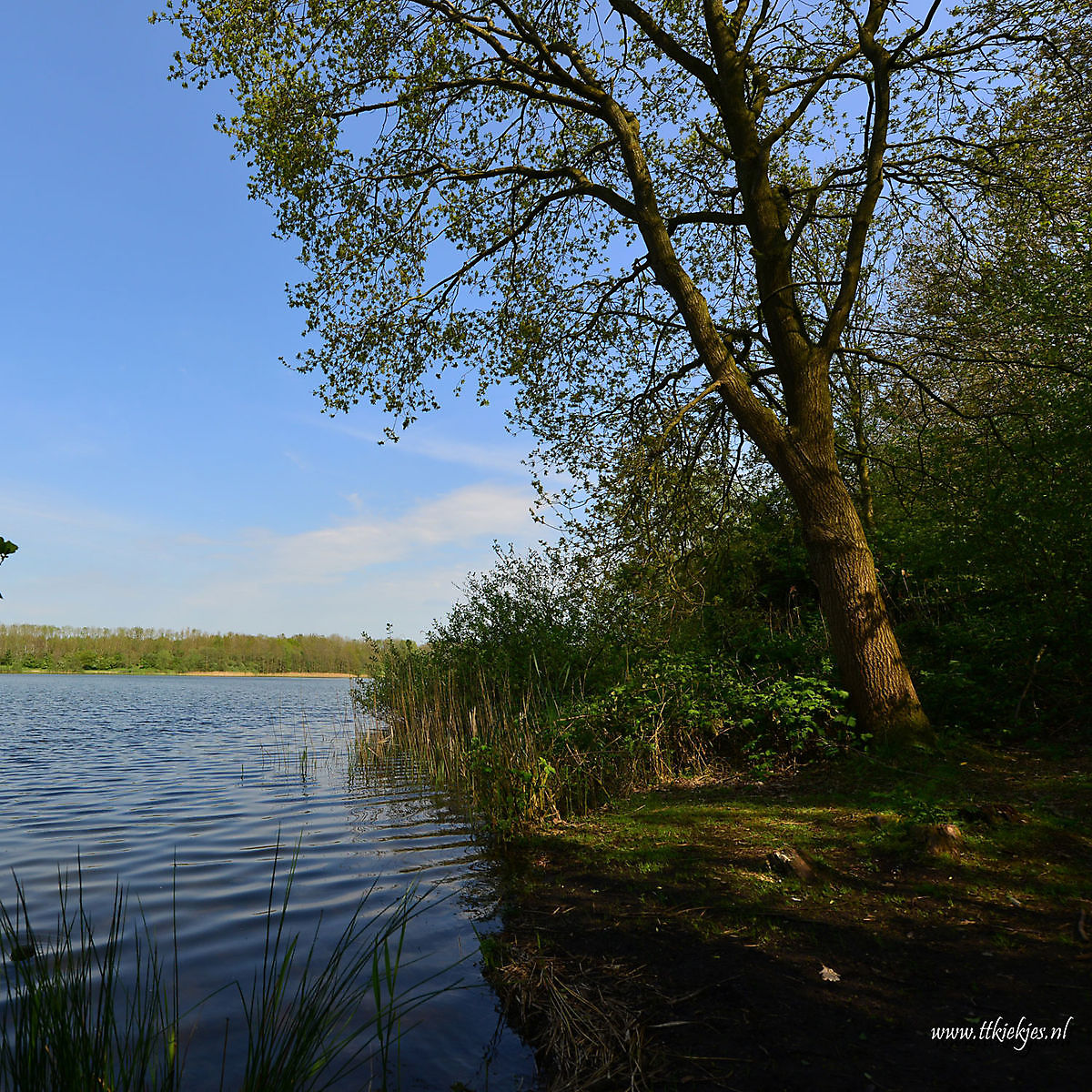 Beersterplas, Beerta