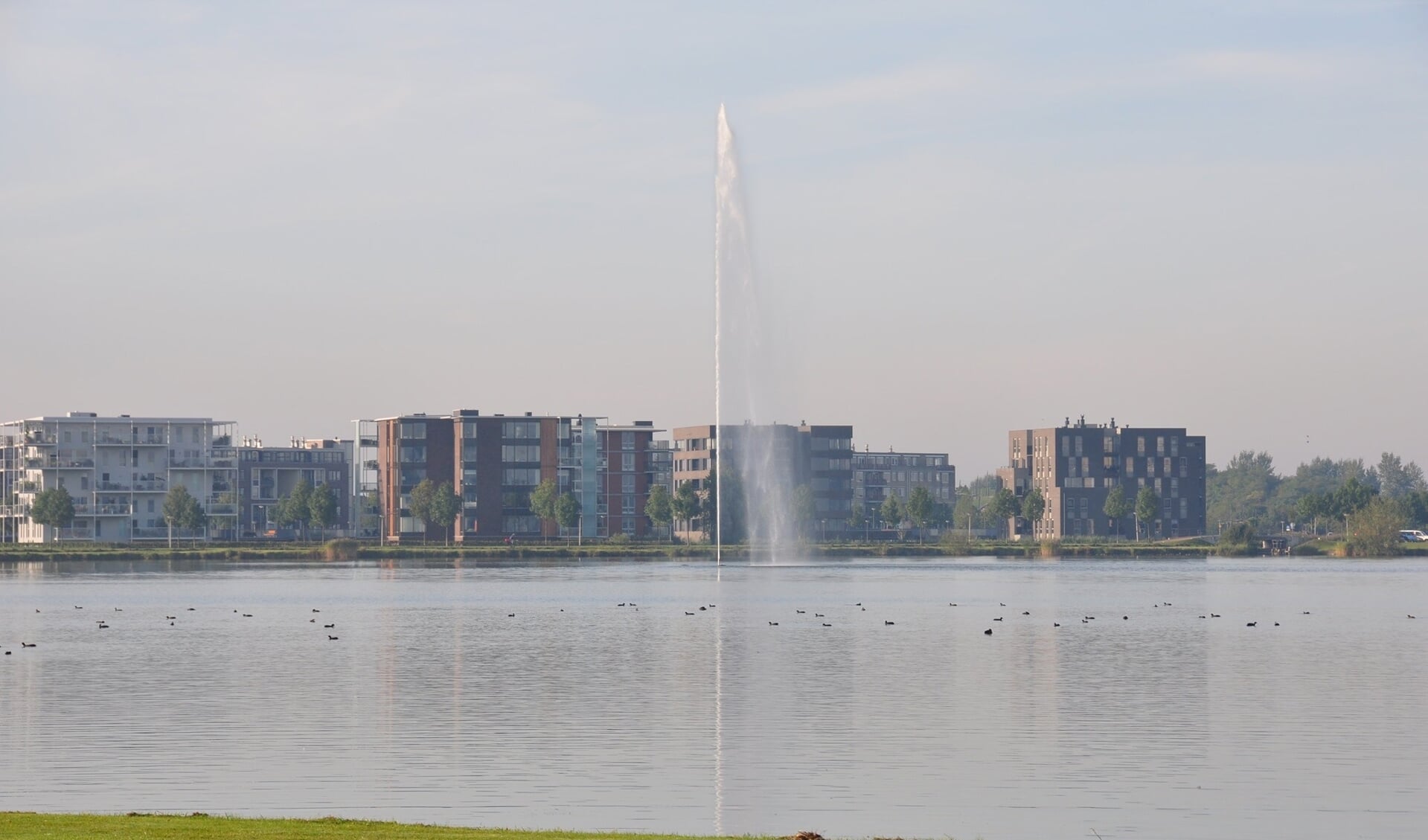 Binnenschelde