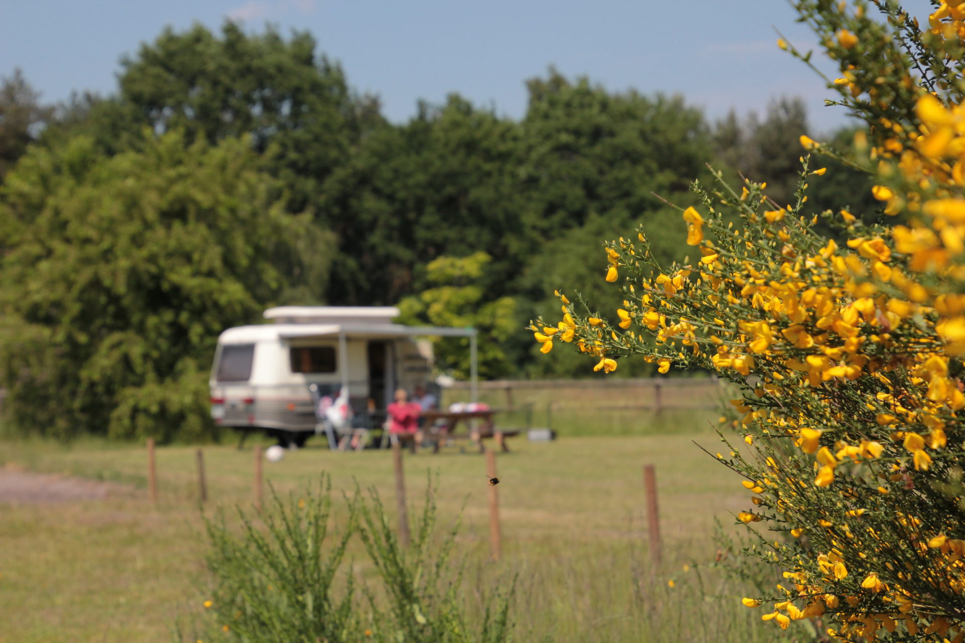 Camping Klein Frankrijk