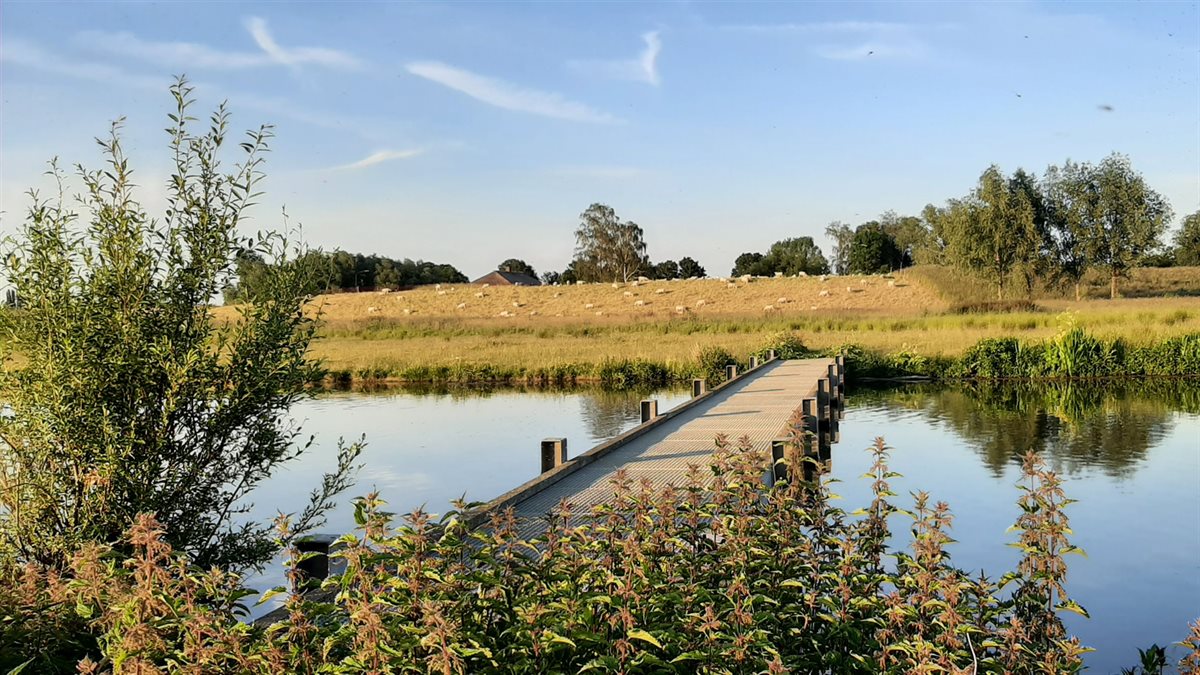 Hemelrijkse Waard, Dagstrand