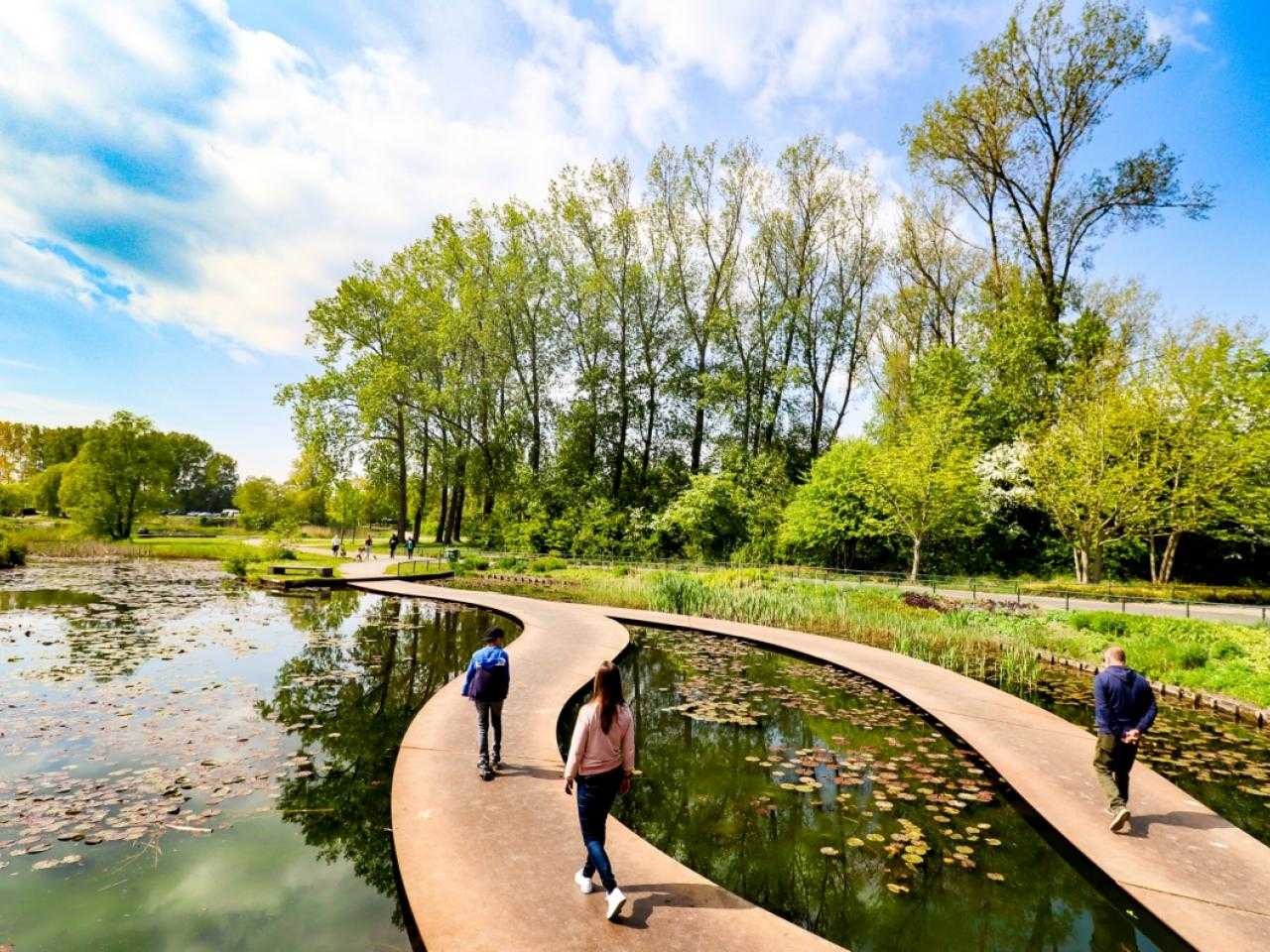 Haarlemmermeerse Bos Plas