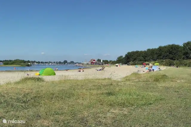 strand Kortgene Paardekreek