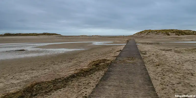 Het Zwin, overgang het Zwin