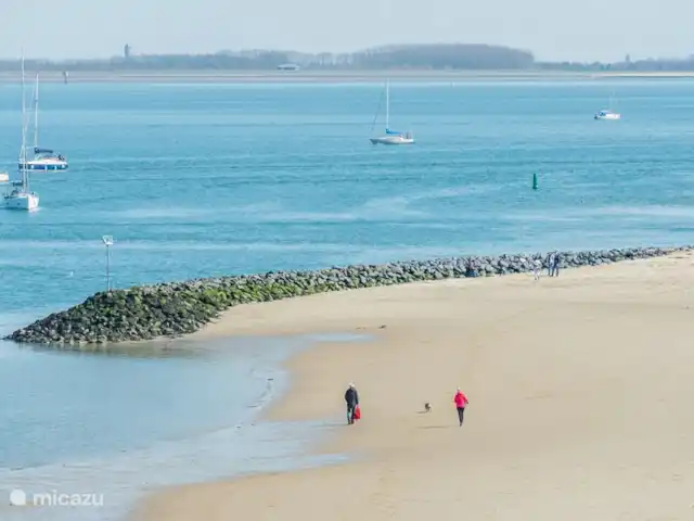 Wemeldinge Oesterbaai