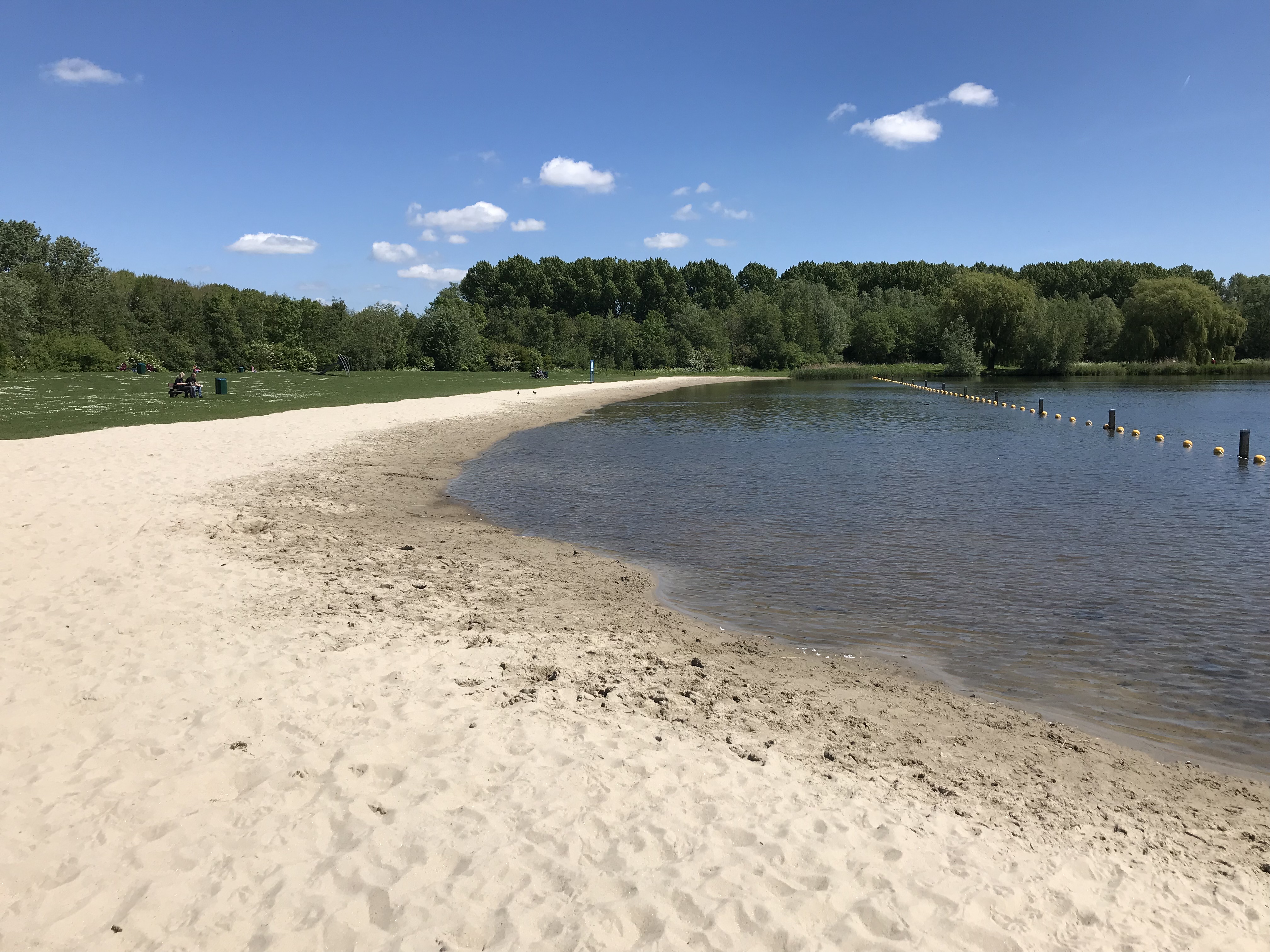 Plas Vrijenburgbos