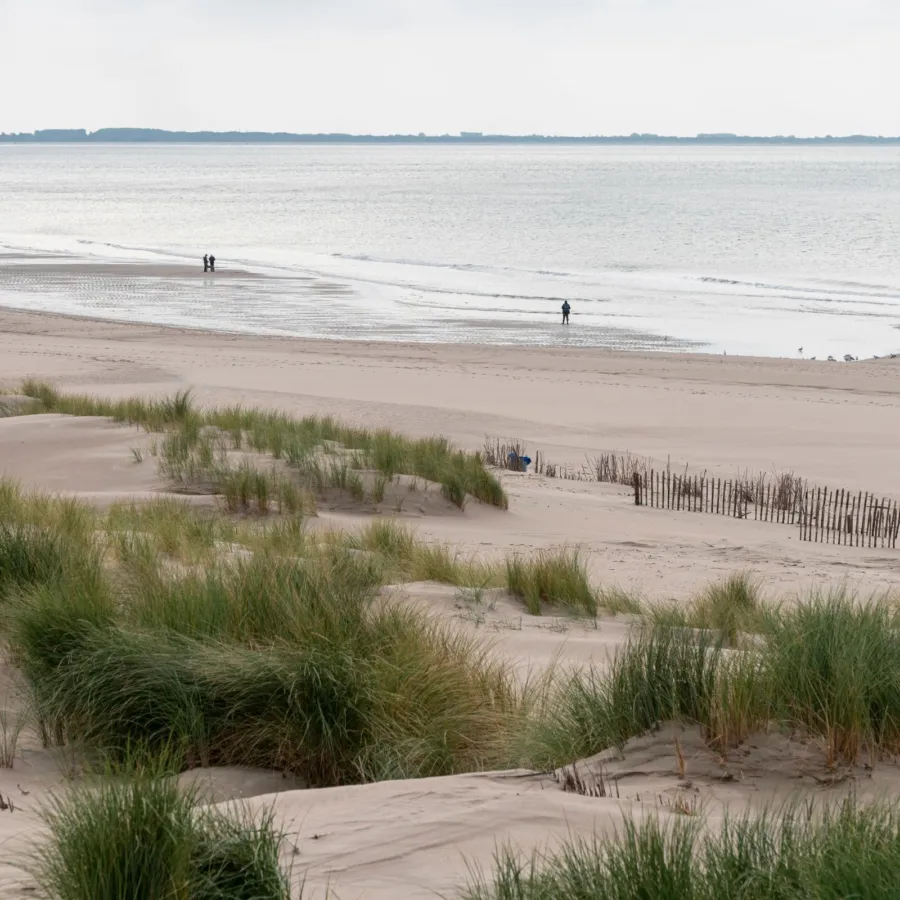 Brielse Meer Camping de Meeuw