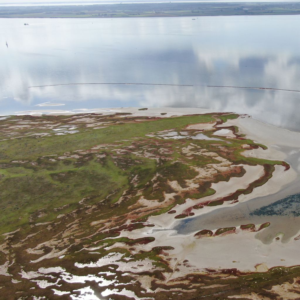 Slikken Van Flakkee