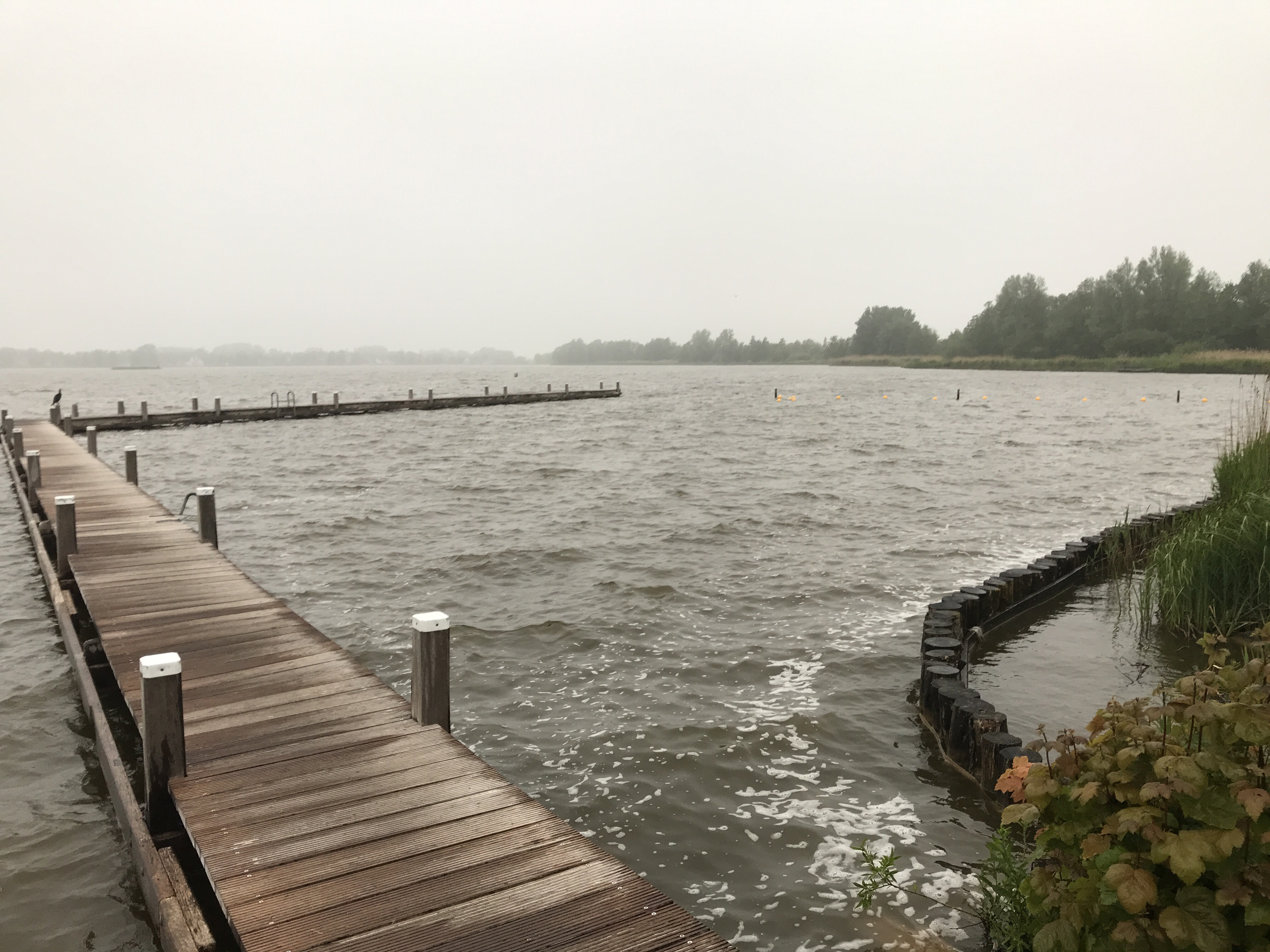 Plas Elfhoeven