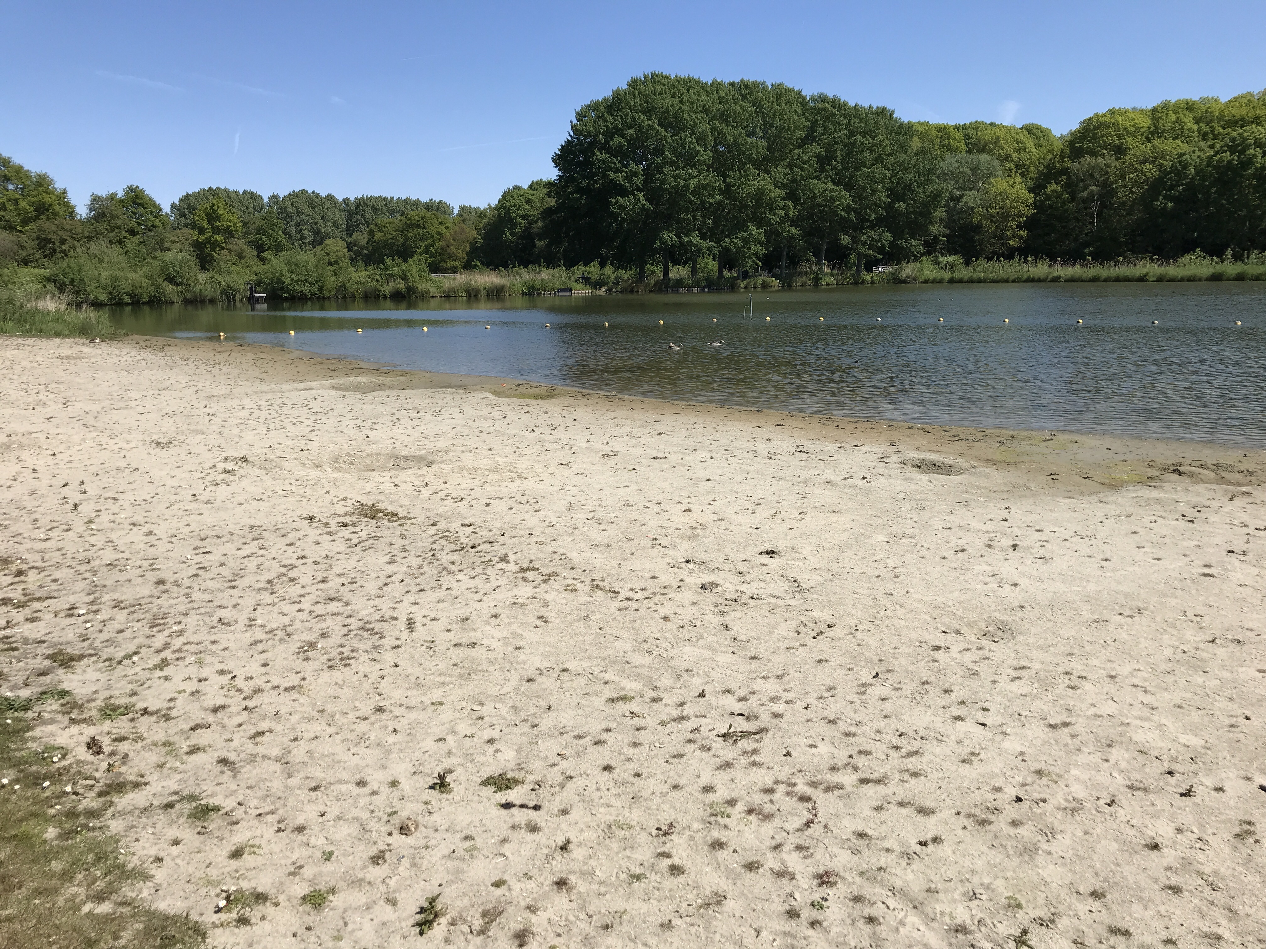 Plas Wilhelminapark