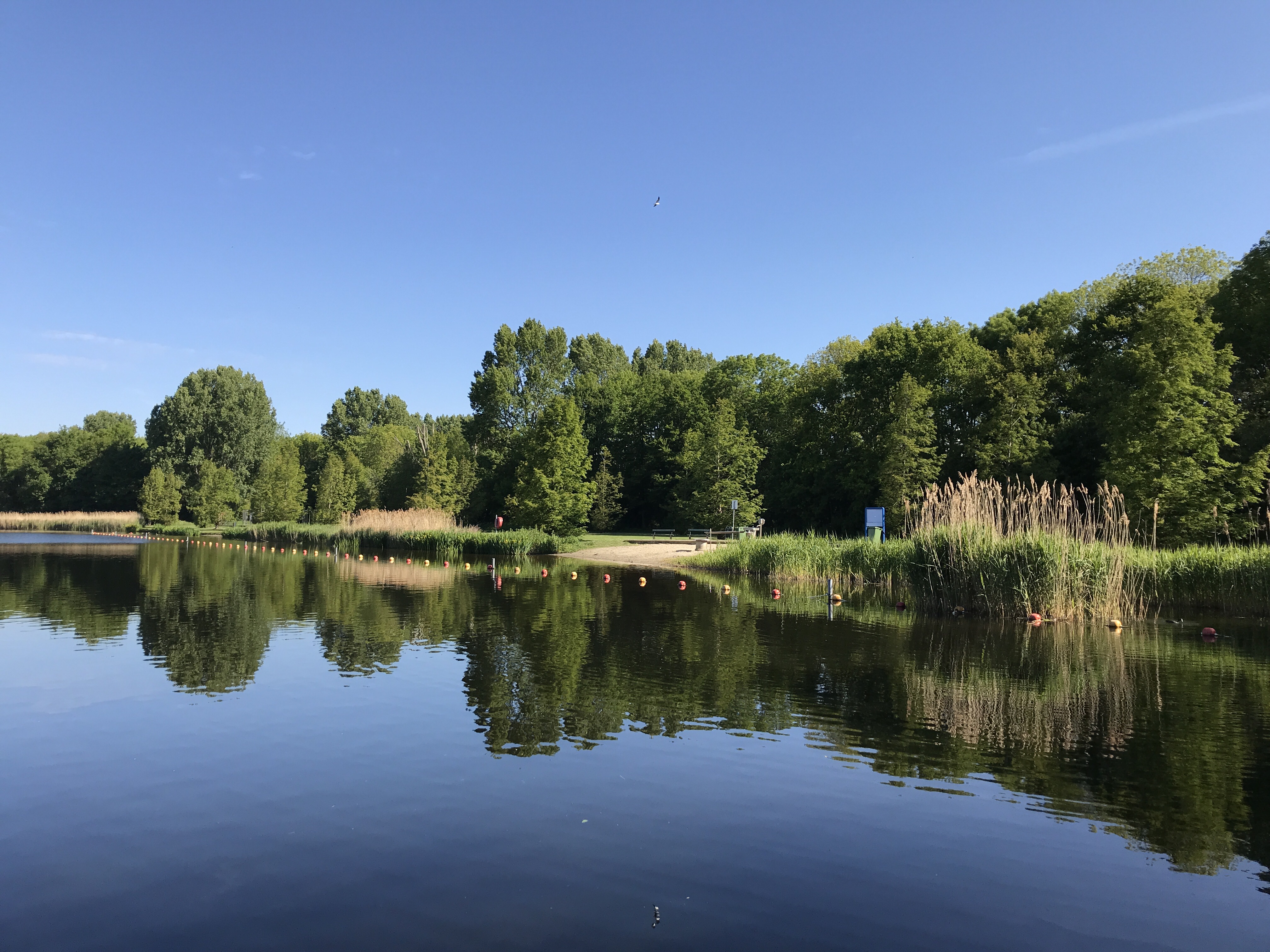 Plassen Madestein, Loosduinen