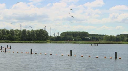 Krabbeplas Zuidzijde